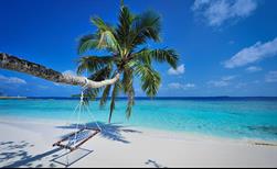 Bandos Island Resort