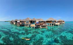 Coco Palm Bodu Hithi