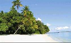 Biyadhoo Island Resort 