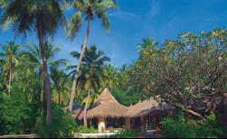 Biyadhoo Island Resort 